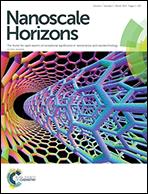 Nanoscale Horizons (RSC, UK)