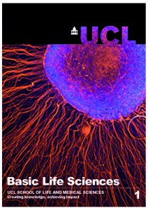 Read the article